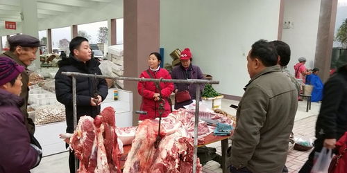 守護年關食品安全——石門市監在行動，聚焦食用農產品批發